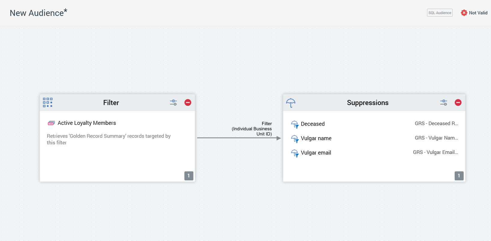 The image shows the Audience Designer workspace with a Filter Block and a Suppressions block connected by an arrow.