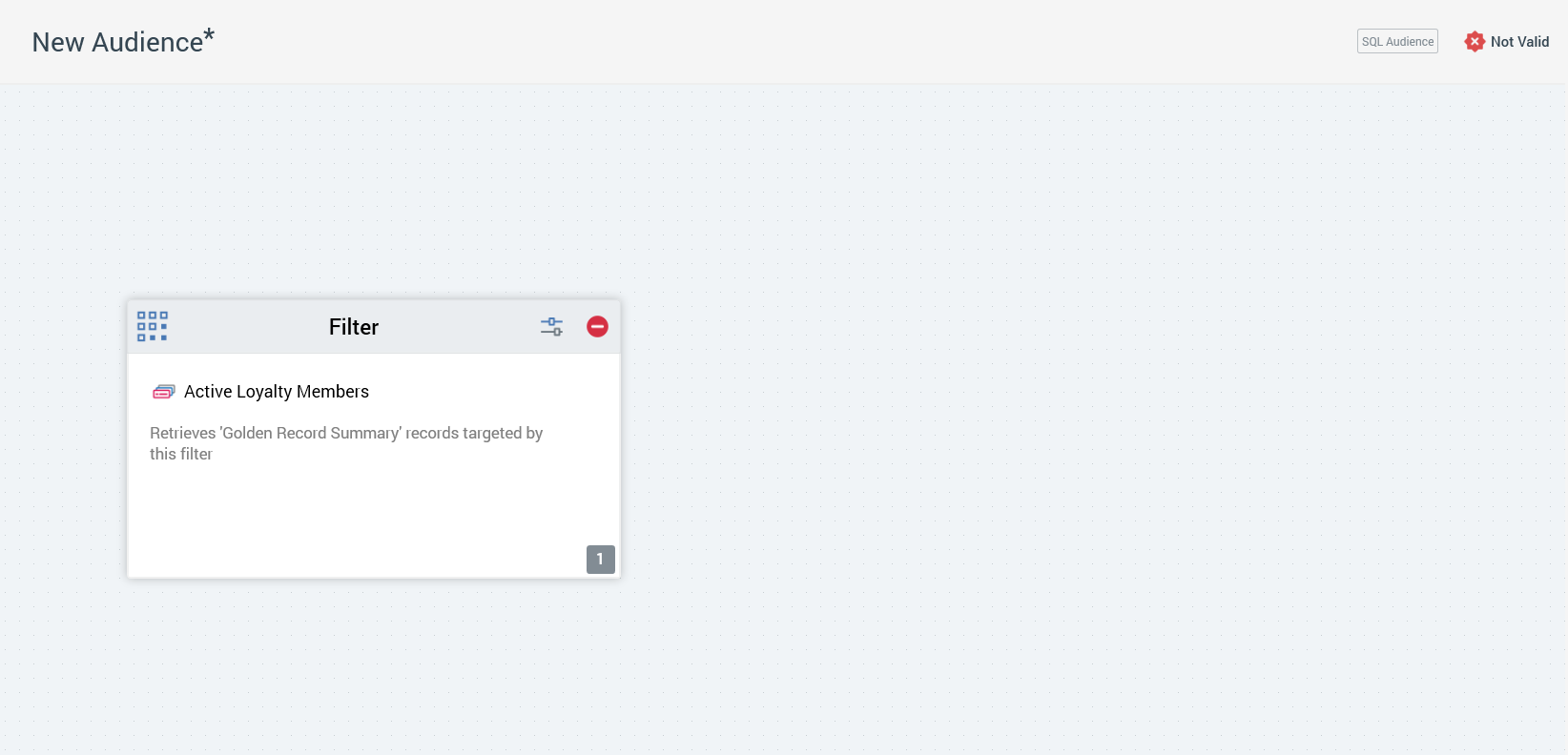 The image shows the Audience Designer workspace with a Filter block.